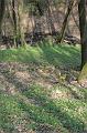 Copy of IMG_0233